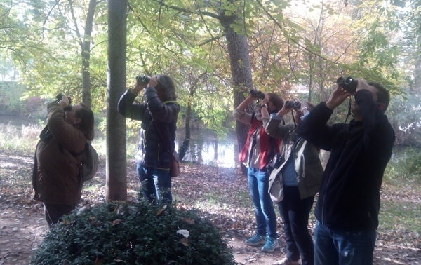 Ciudadanos participando en talleres de observación de aves.